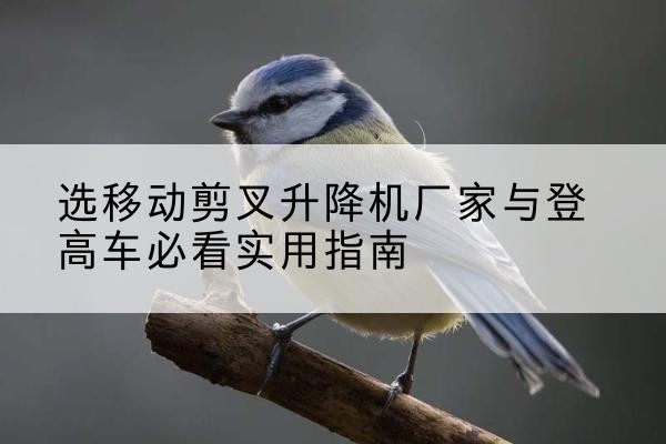 右江电动升降机厂家-选移动剪叉升降机厂家与登高车必看实用指南