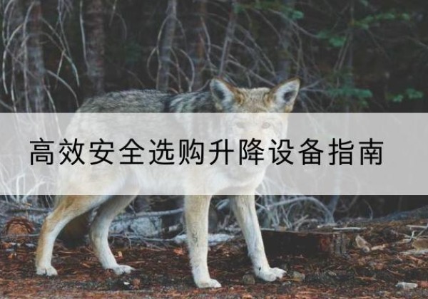 右江升降货梯厂家推荐-*安全选购升降设备指南