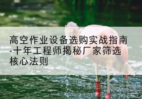 右江剪叉式升降机厂家-高空作业设备选购实战指南-十年工程师揭秘厂家筛选核心法则